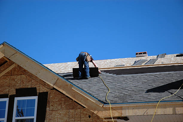 Best Storm Damage Roof Repair  in Evergreen, AL